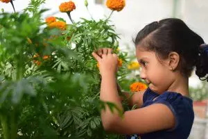kid friendly home improvement includes planting a container garden