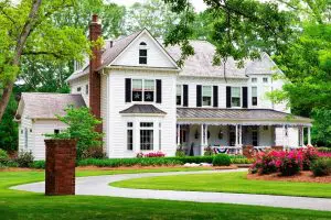 learn about tree care to manage your property