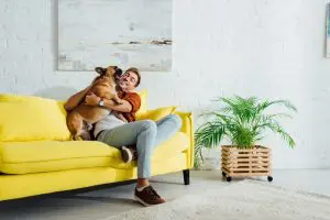 pet-friendly home improvement