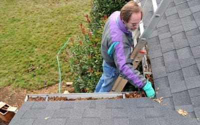 Three Important Reasons to Clean Your Gutters During the Fall