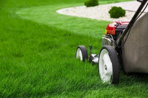 home maintenance costs include mowing the lawn