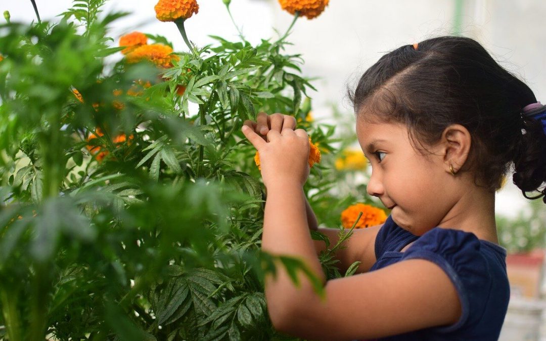 kid friendly home improvement includes planting a container garden