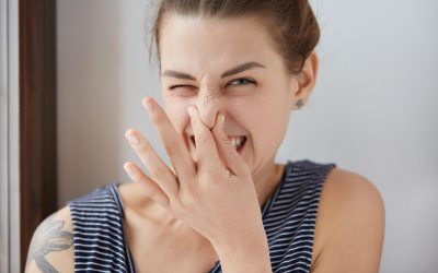 Identifying 4 Strange Smells in Your Home