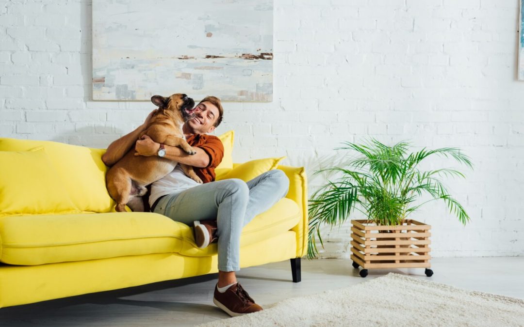 5 Pet-Friendly Home Improvement Projects